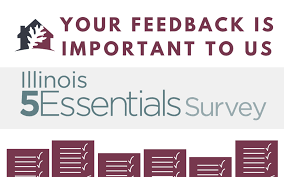 5-essential Survey